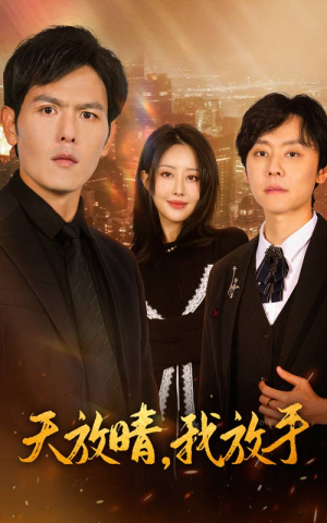 天放晴，我放手（35集）高分推荐免费看
