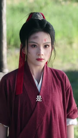 桃花马上请长缨（91集）观看软件