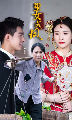 望女成凤（74集）短剧小说在线看