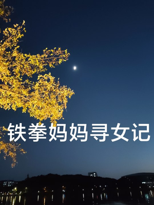 铁拳妈妈寻女记（69集）这部短剧太好看