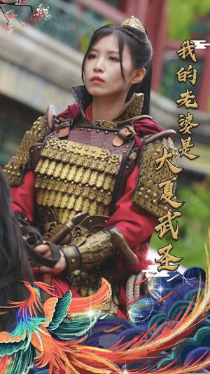 我的老婆是大夏武圣（72集）大结局