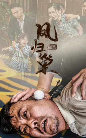 新版：凤归巢（68集）在哪里看