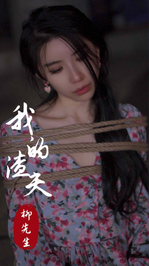 我的渣夫柳先生（80集）全集