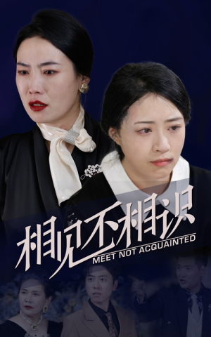 相见不相识（34集）免费全集短剧