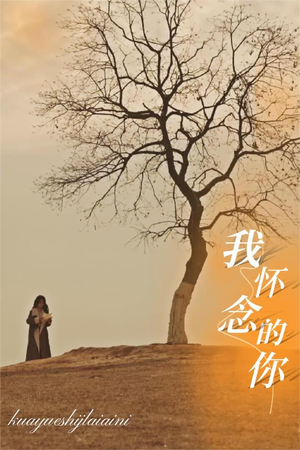 我怀念的你（38集）热门短剧排行榜