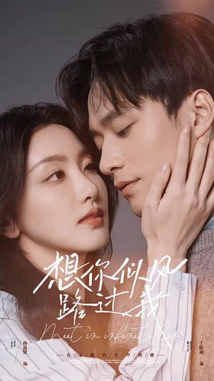 想你似风路过我（40集）在线看完整版