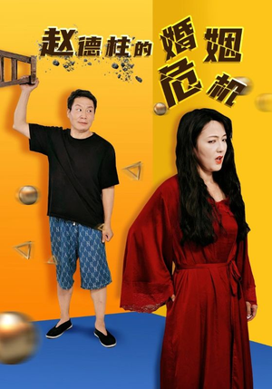 赵德柱的婚姻危机（35集）全集
