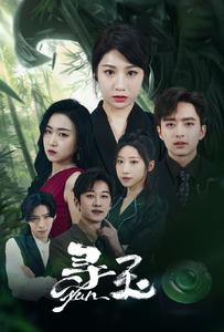 寻玉（77集）我全都看完了