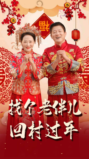找个老伴儿回村过年（58集）短剧全集完整版