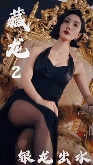 藏龙2银龙出水（35集）第32集
