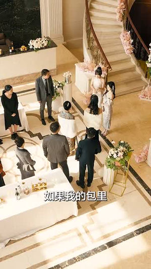 夜色入怀（66集）解说文案