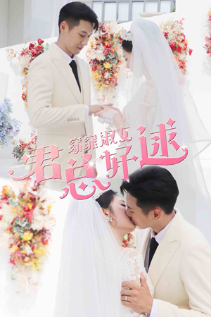 窈窕淑女，君总好逑（85集）超火短剧抢先看