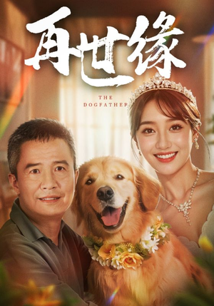 再世缘（41集）热门短剧在线看
