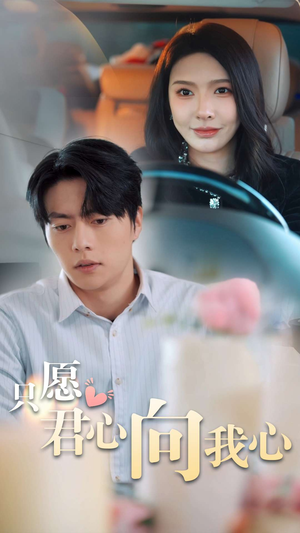 只愿君心向我心（31集）短剧每日分享