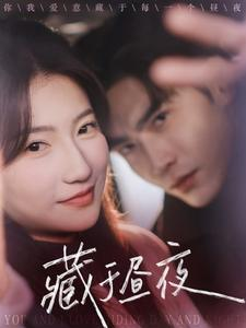 藏于昼夜（68集）网上可以看吗