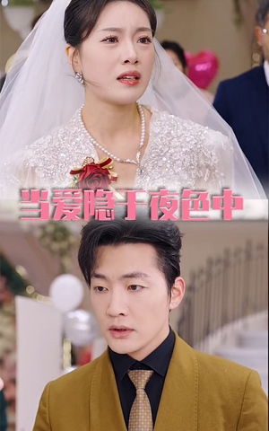 当爱隐于夜色中（37集）热播短剧免费看