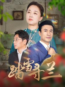 踏雪寻兰（94集）热门短剧推荐。