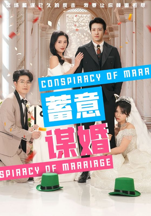 蓄意谋婚（30集）全集一次看完