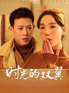 时光的双翼（94集）去哪里看