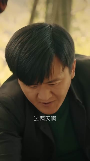 重生之我是奶奶的救赎（30集）在哪里看