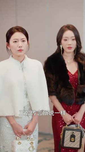 相逢亦难识（50集）免费观看