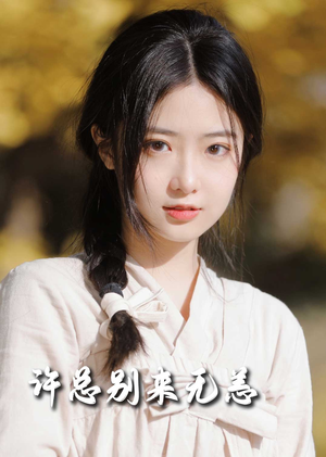 许总别来无恙（50集） 在线看完整版