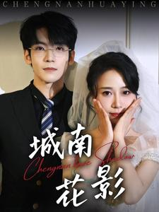城南花影（45集） 免费观看全集