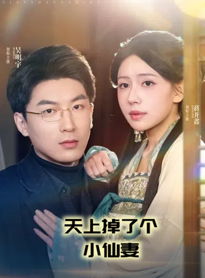 天上掉了个小仙妻（60集） 全集完整版