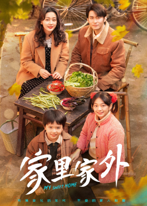 家里家外（79集） 零花钱看整部剧
