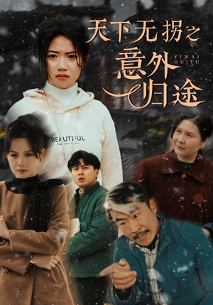 天下无拐之意外归途（61集） 精彩片段