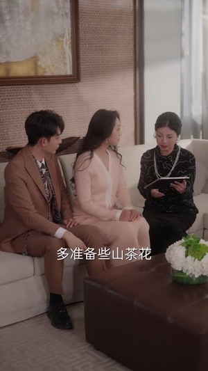 来不及说我爱你（86集） 全集完整版