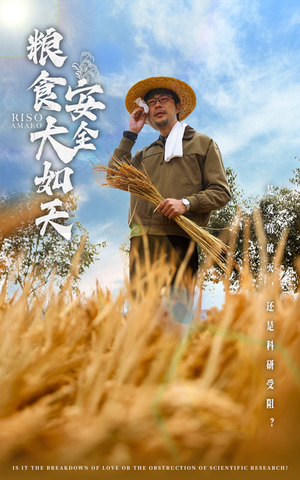 粮食安全大如天（43集） 在线观看全集