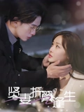 贤妻折翼逢生&雨落灯残梦（85集）  精彩短剧看全集