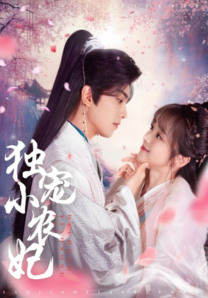 独宠小农妃（63集） 第一集