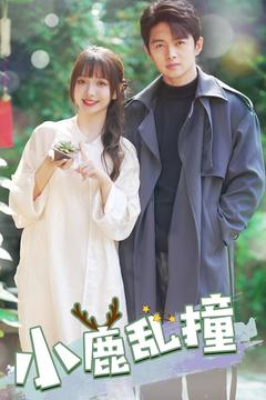 小鹿乱撞（40集） 番茄短剧免费看