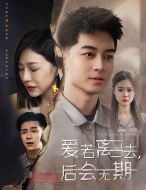 爱若离去，后会无期（70集）追短剧看全集