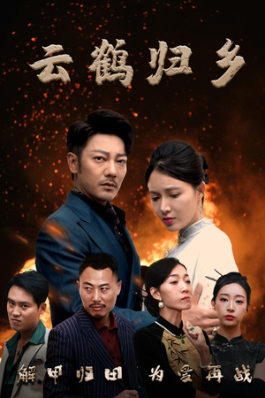 云鹤归乡（65集） 短剧全集完整