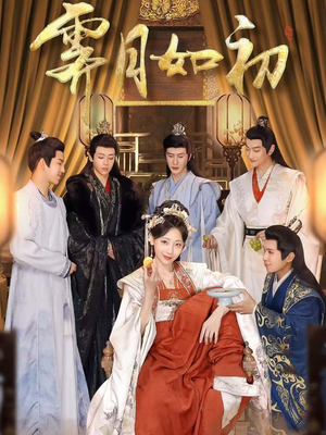 霁月如初（92集） 去哪里看