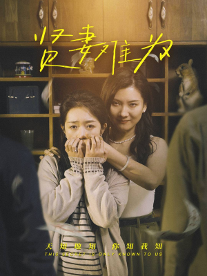 贤妻难为（30集） 独家资源免费看