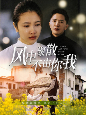 风中聚散不由你我（41集） 古装短剧热播