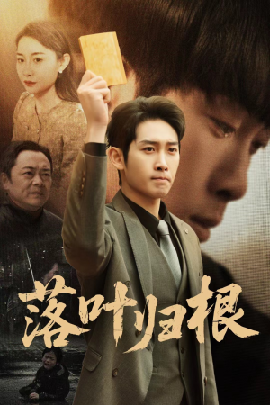 落叶归根（35集） 完整版免费观看