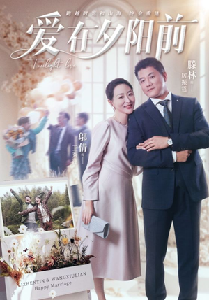 爱在夕阳前（41集） 免费看