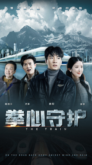 拳心守护（28集） 在哪里看