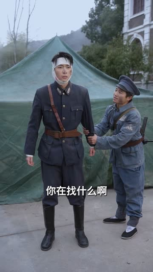 伤逝（36集）精彩的网络短剧