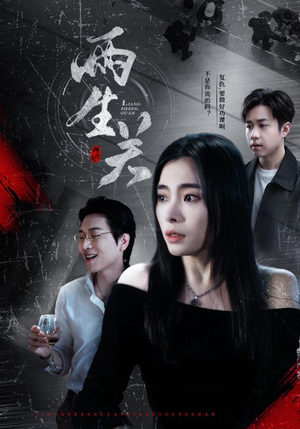 两生关（40集）在线看免费版