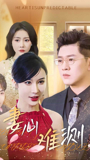 妻心难测（33集）独家资源免费看