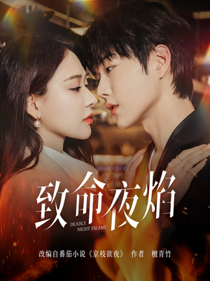 致命夜焰（80集）最后一集
