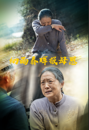 细雨春晖报母恩（30集） 看精彩短剧
