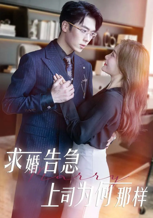 求婚告急上司为何那样（70集） 免费短剧看不停