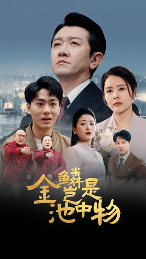 金鳞岂是池中物（61集）短剧演员排行榜
